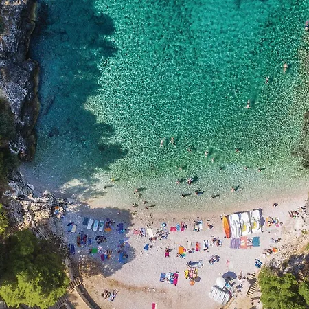 Lovely In With Wifi Apartman